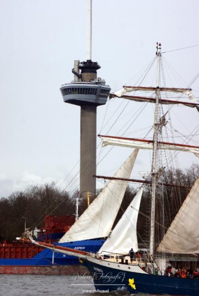 Euromast met zeilschepen