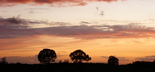 Avond silhouette