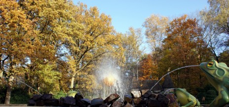 gouden bal kikker efteling