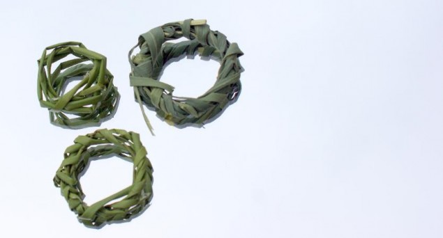 grass_ring