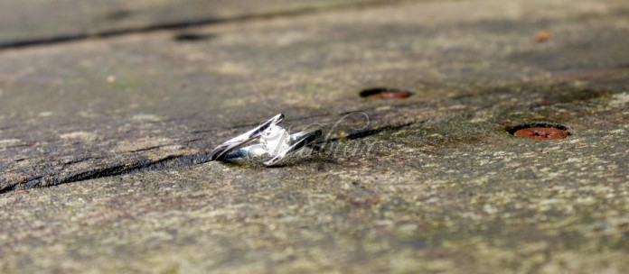 ring voor ten huwelijk vragen