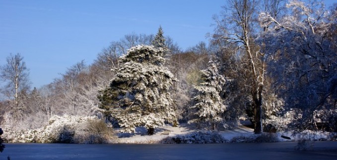 tuinen paleis soestdijk winter