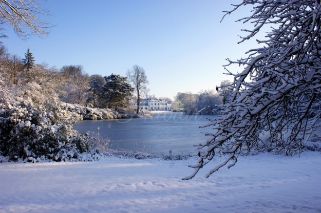 tuinen vijver paleis soestdijk