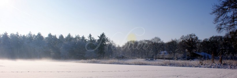 zonnestralen op sneeuwlandschap