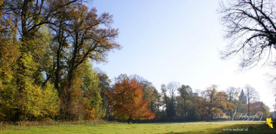 Kasteel Zoelen tuin