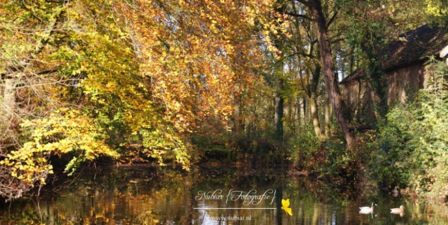 Kasteel zoelen slotgracht